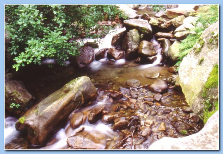 04 torrente lungo il sentiero